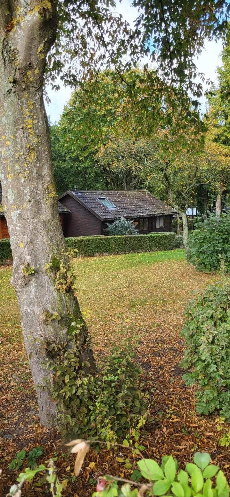 Rendeux Chalet 9 La Boverie מראה חיצוני תמונה